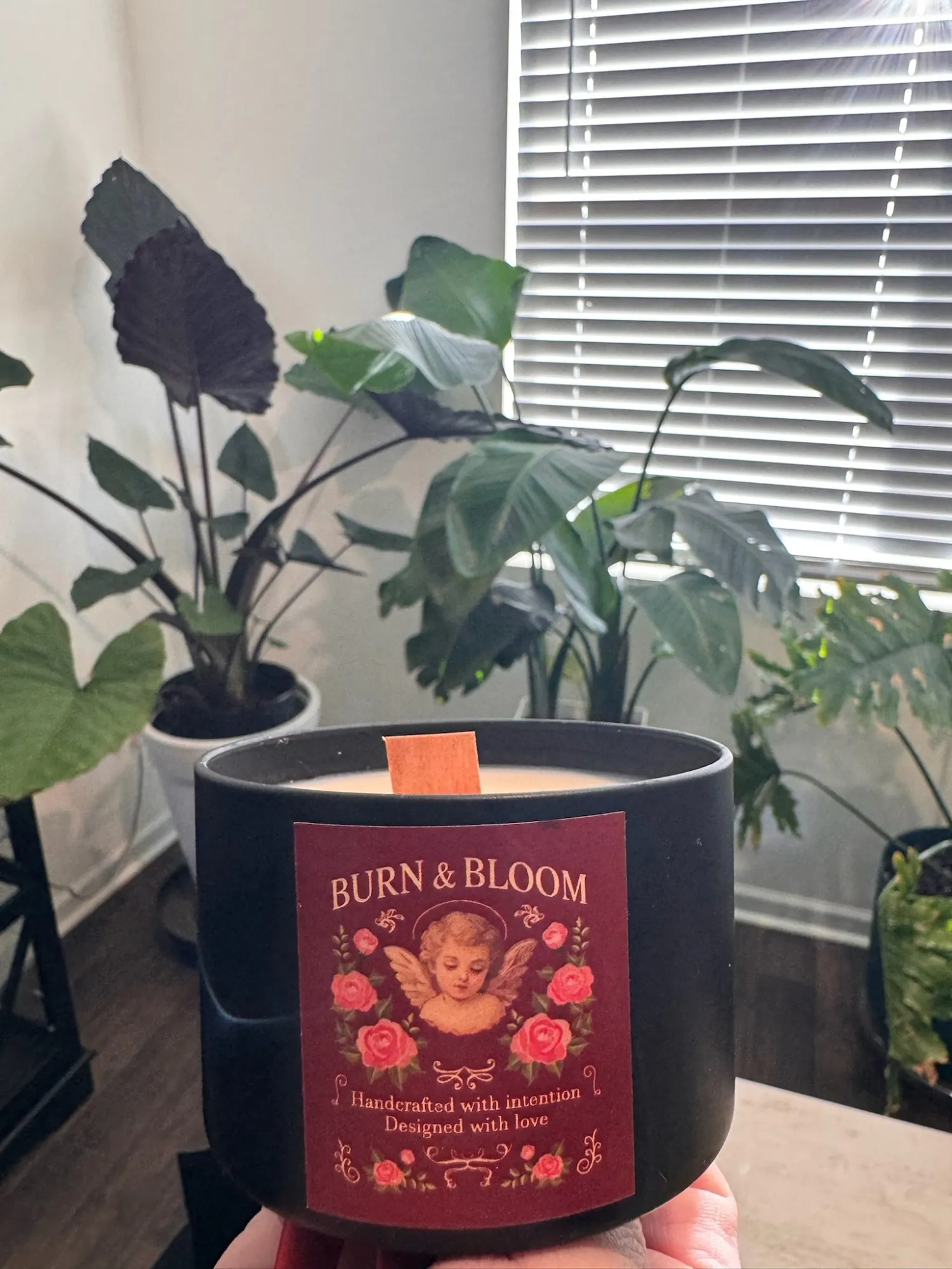 A matte black candle with a wooden wick and the Burn & Bloom label, among houseplants
